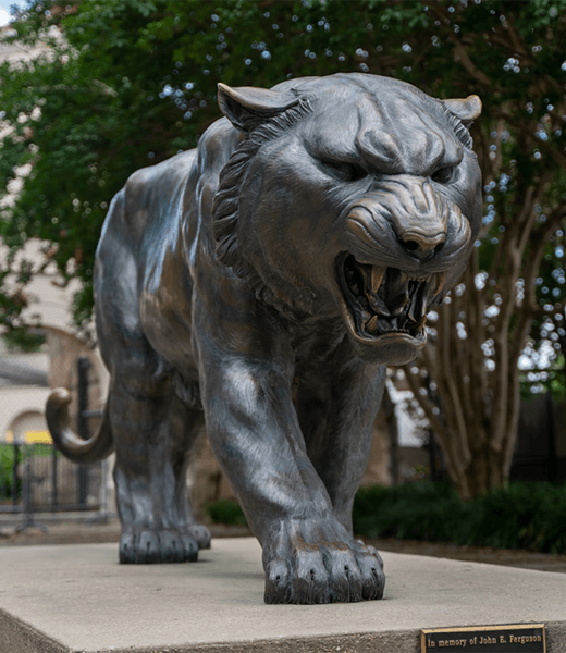 LSU Campus Tiger Stadium