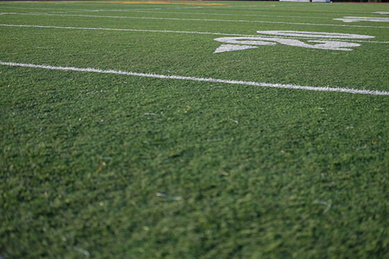 LSU Tiger Stadium Home Games